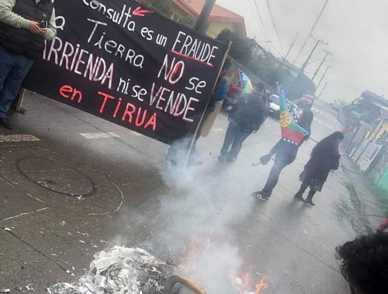 manifestaciones mapuches